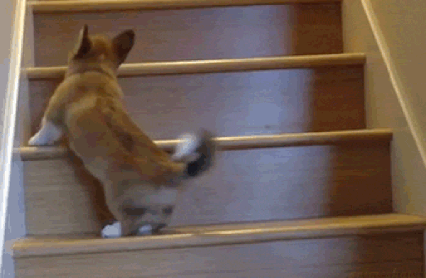 Подъем по карьерной лестнице