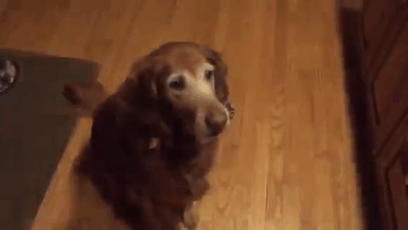 Карьерный рост